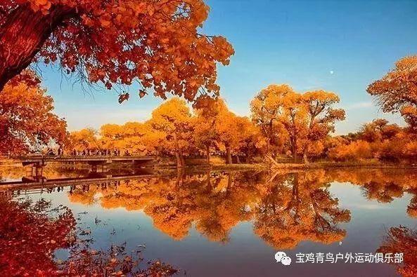 动物滑动拼图